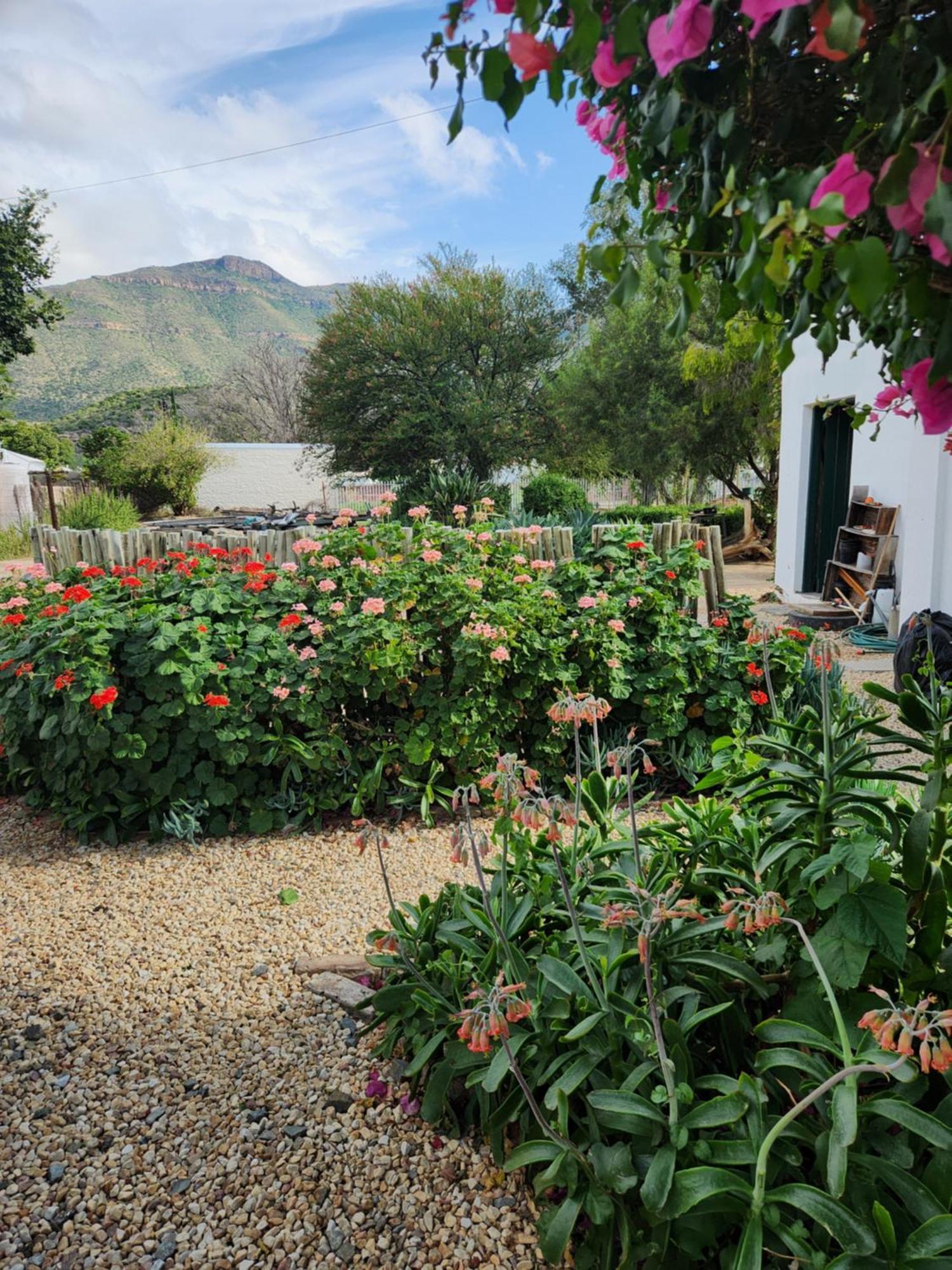 Die Dorpshuis Graaff-Reinet Extérieur photo